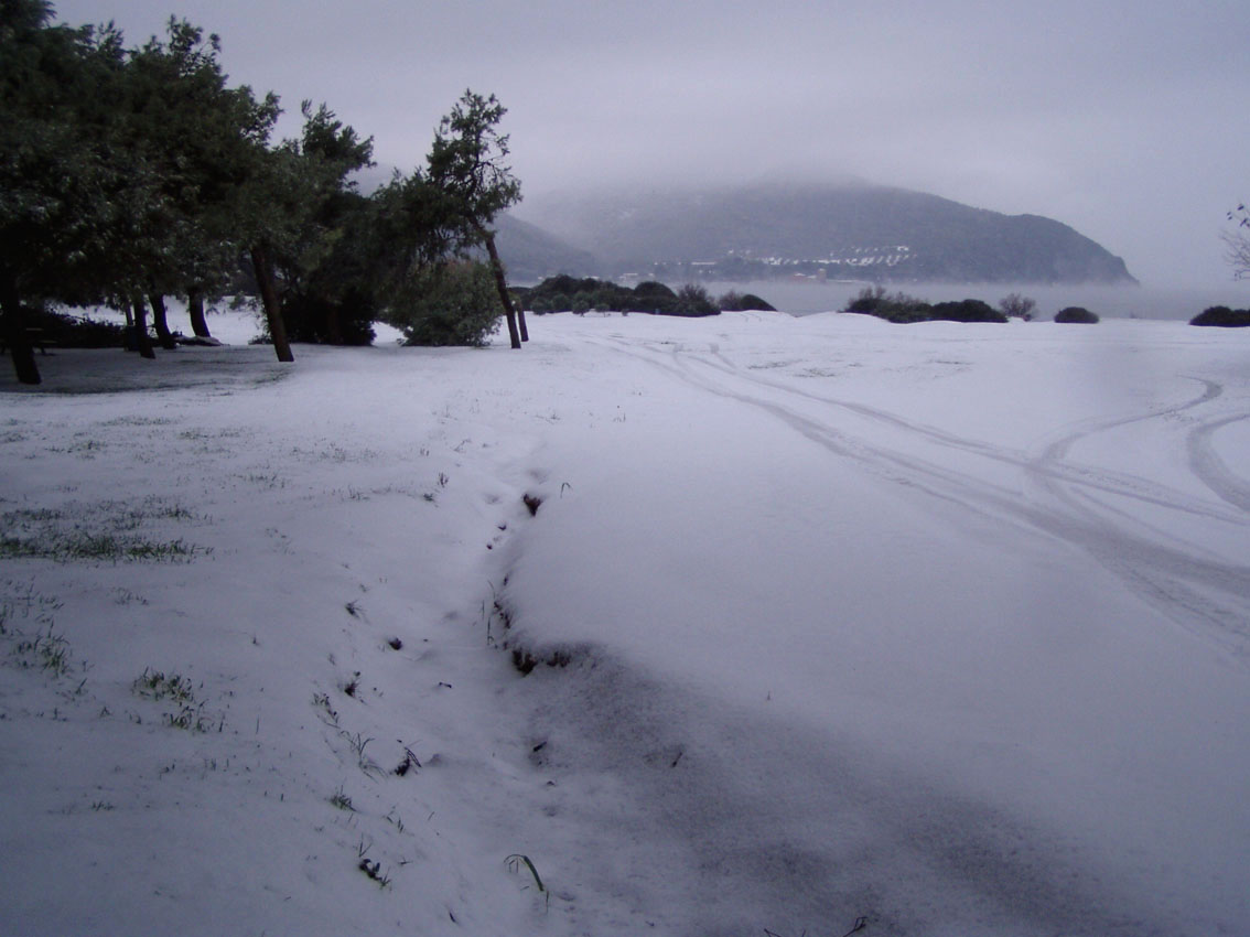 I fossi e lo stagno di Baratti (Piombino - LI)